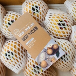 [예약상퓸]  맞이터농원 햇배 선물세트 (12~13과)