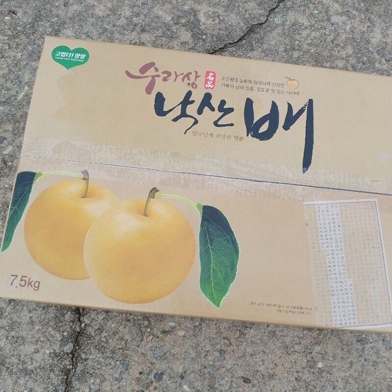 맞이터농원,양양의 밤하늘이 키워낸 달콤한 낙산배